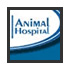 Link to Queen Street Animal Hospital